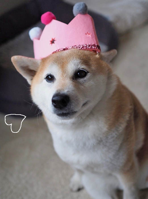 3日ブログ3