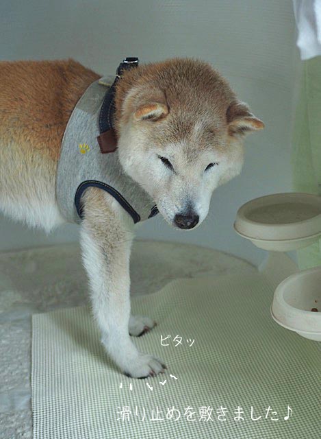 25日午後グログ7