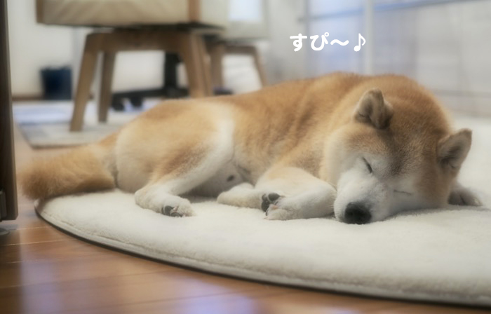 22日ブログ２
