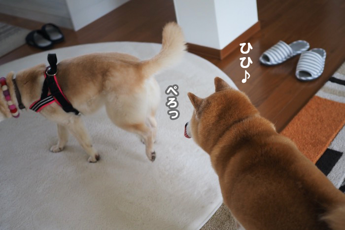 15日夕ブログ５