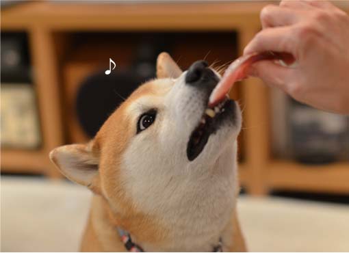 27日ブログ6.jpg