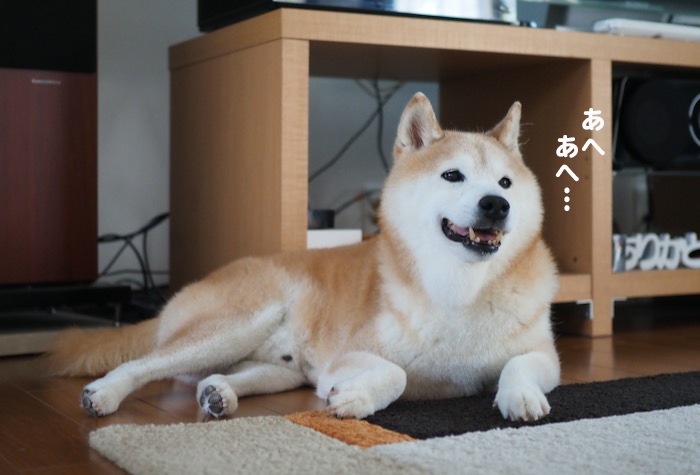 5日夕ブログ４