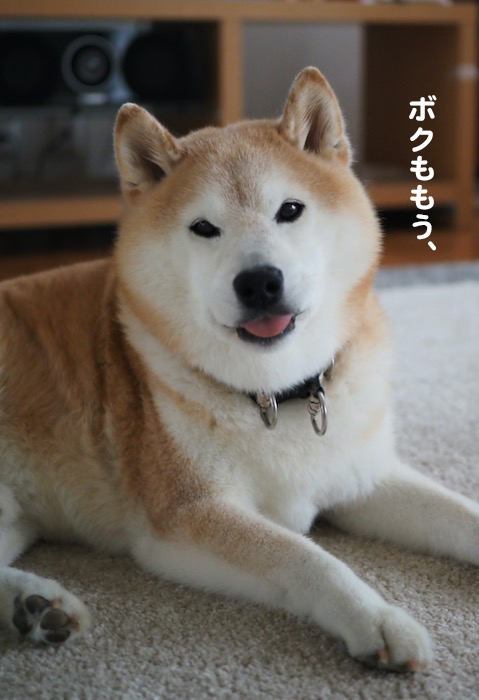 21日夜ブログ４