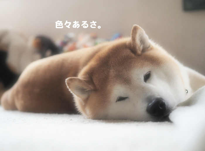 2日ブログ４