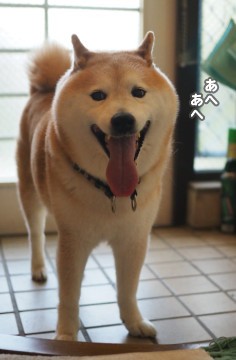 18日ブログ２