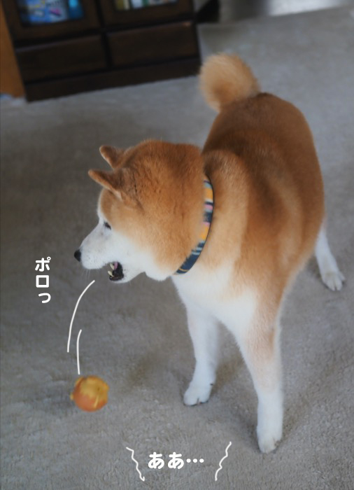 7日夕ブログ４