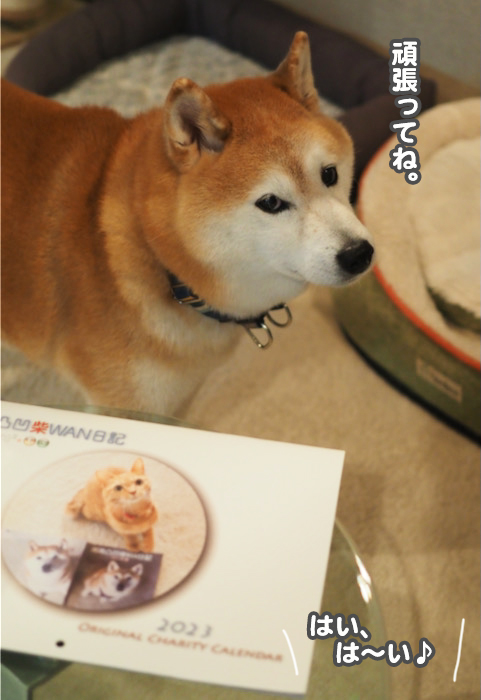 5日夕ブログ９
