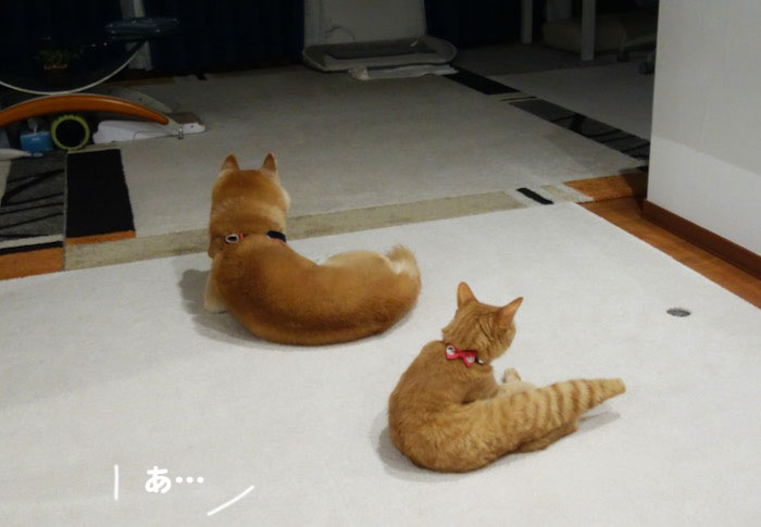 24日夕ブログ２