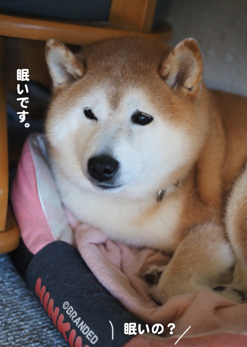 10日ブログ２