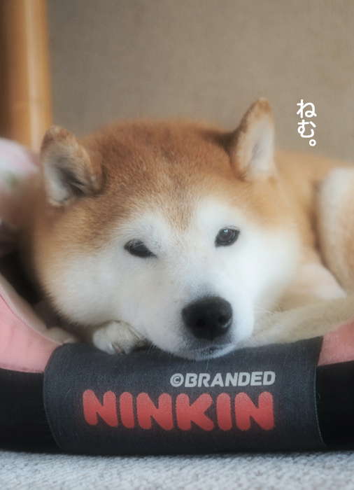 1日夜ブログ２