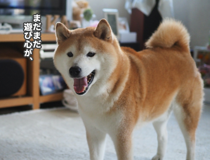 9日夜ブログ５
