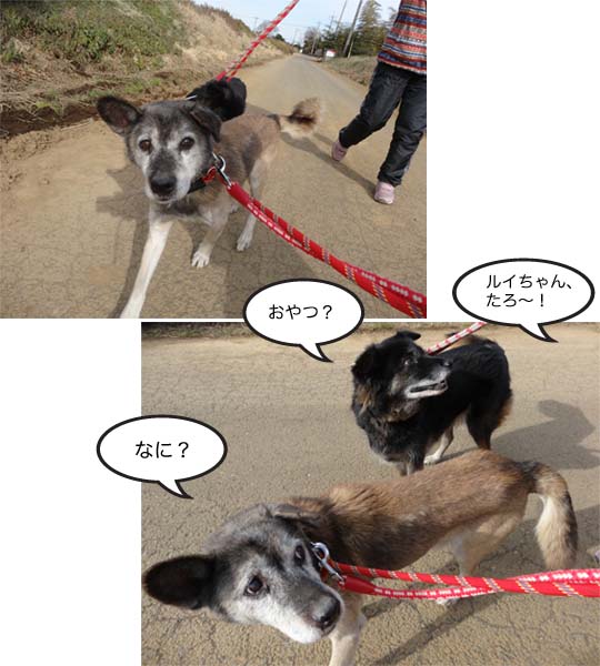 4日ブログ5.jpg