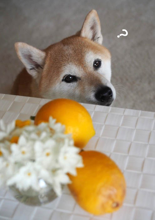 20日夜ブログ１２