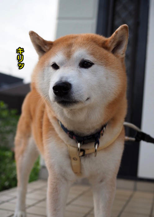 11日夜ブログ８