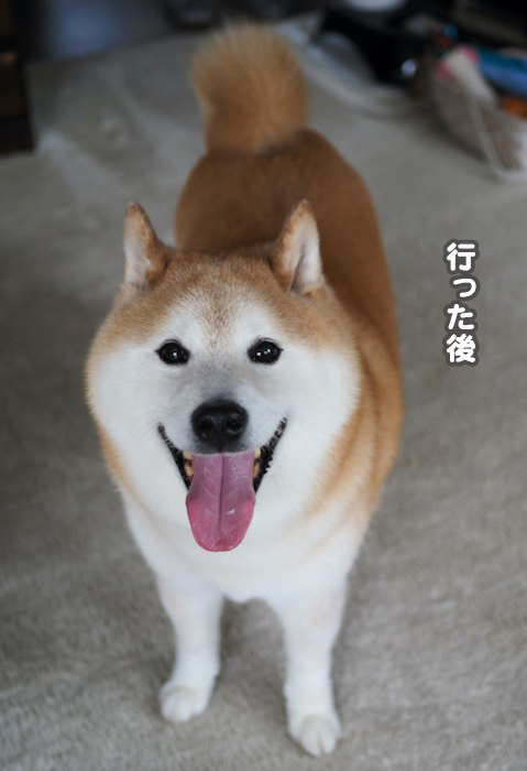 4日夕ブログ5