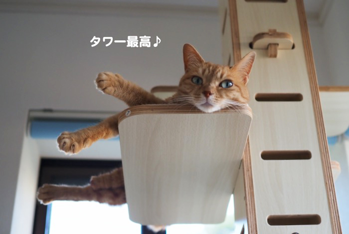 20日ブログ２