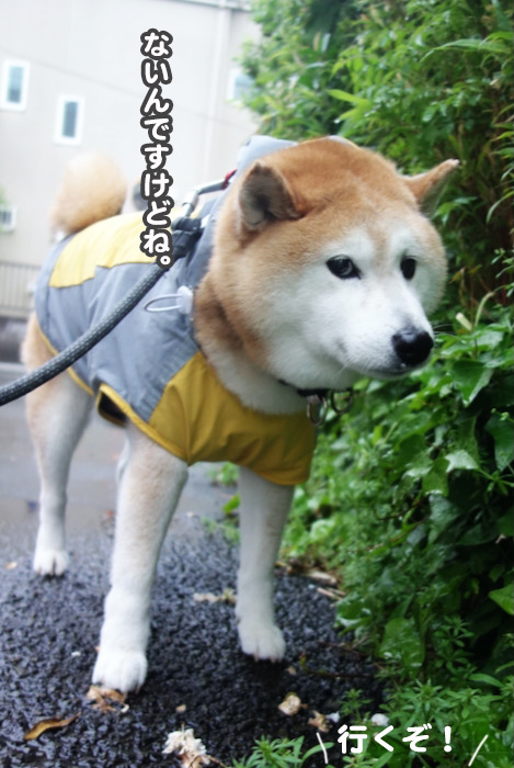 25日ブログ６