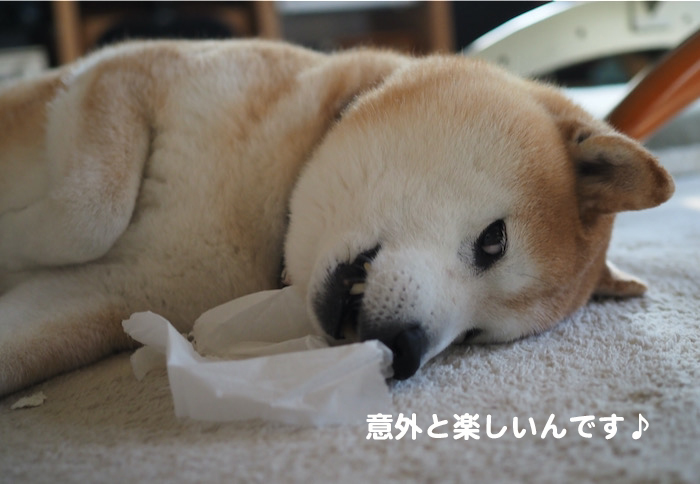 7日夜ブログ３