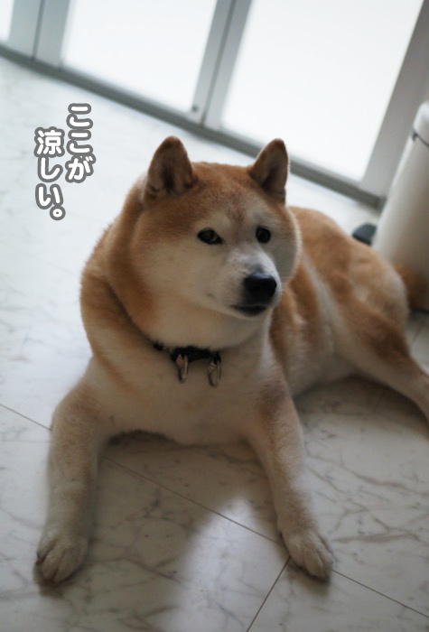 16日夕ブログ８