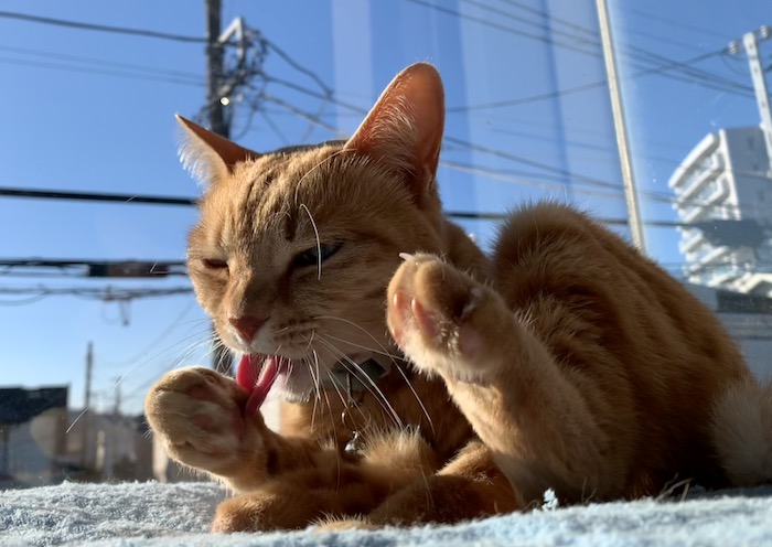 17日ブログ３