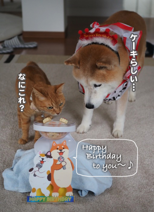 23日夕ブログ５