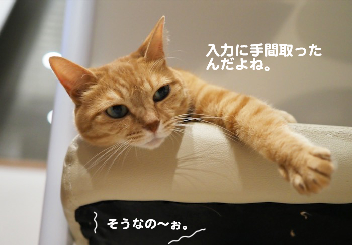 1日夕ブログ５