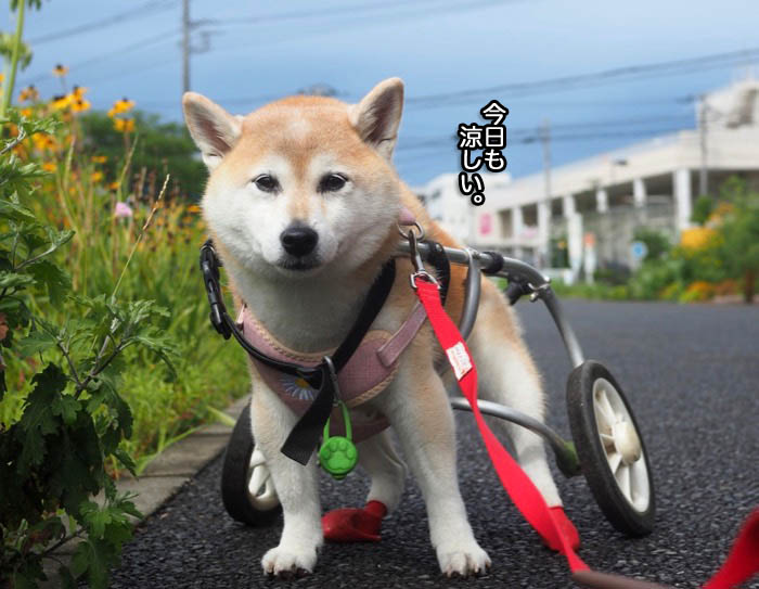 27日ブログ３