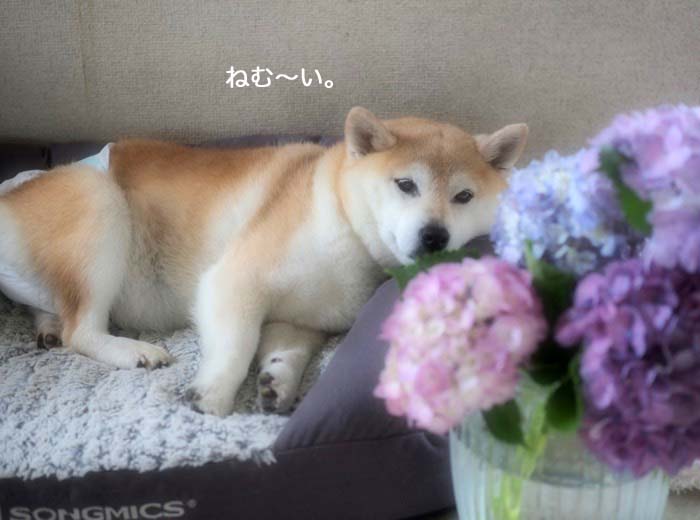 13日ブログ６