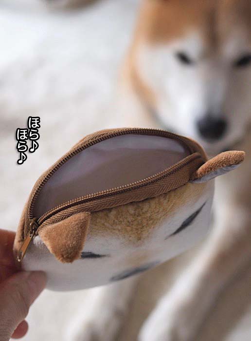 14日ブログ３
