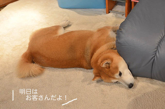 26日ブログ9