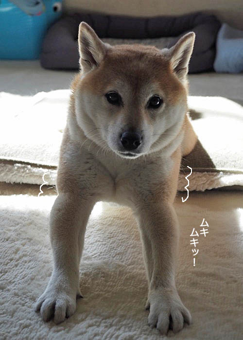 6日ブログ２