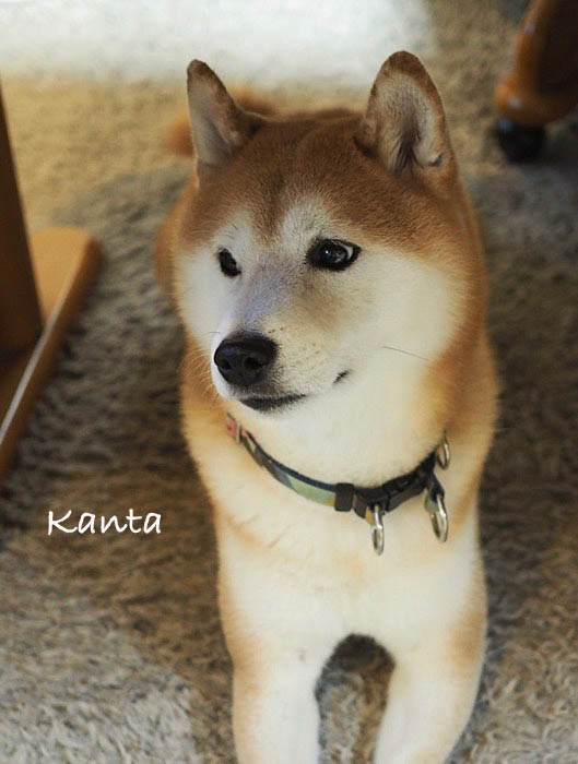 12日ブログ３