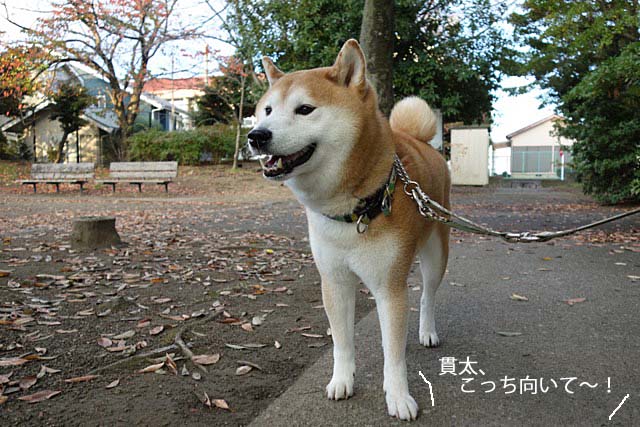 23日ブログ4