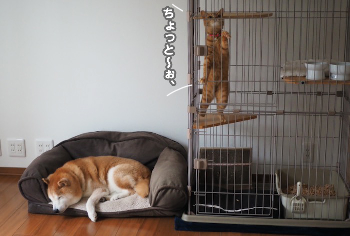 5日ブログ５