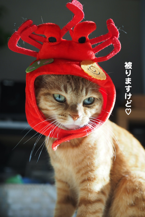 2日夜ブログ６