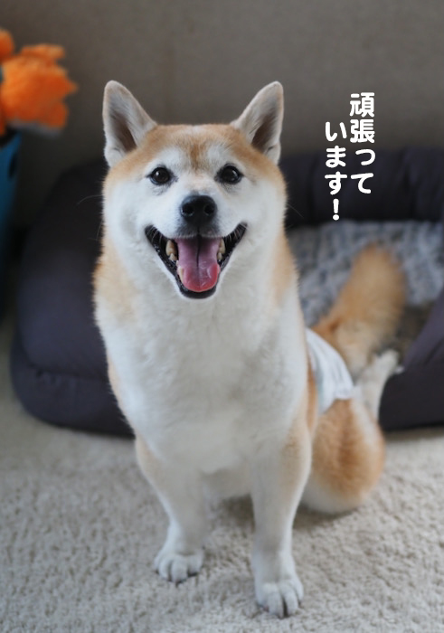 28日夜ブログ3