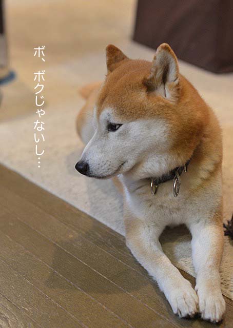 27日ブログ6
