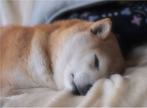 31日ブログ4.jpg