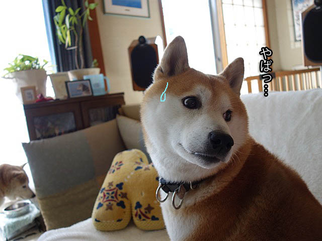 25日ブログ4