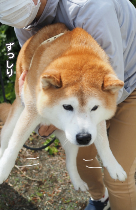 11日夕ブログ９