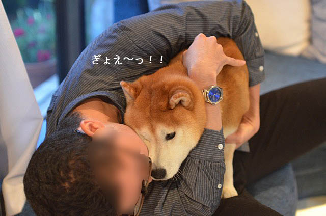 17日ブログ11