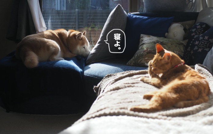 24日ブログ２