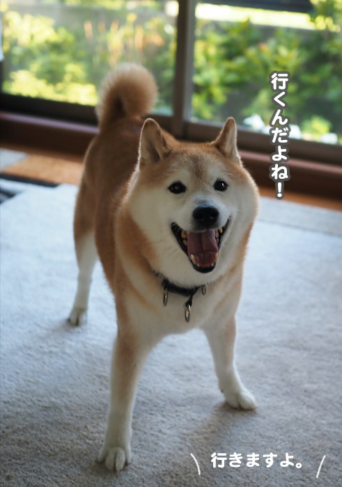 19日ブログ５