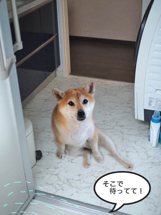 17日夜ブログ６