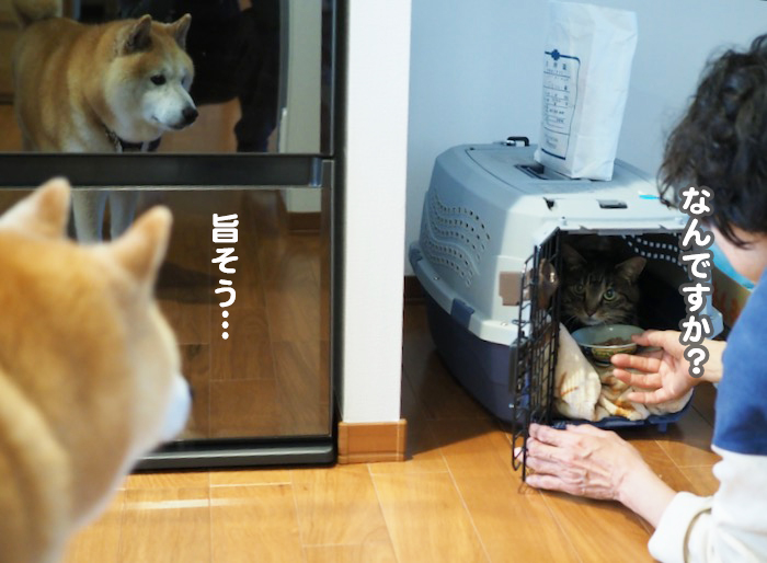 15日夜ブログ3