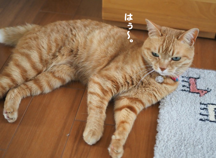 21日夕ブログ６
