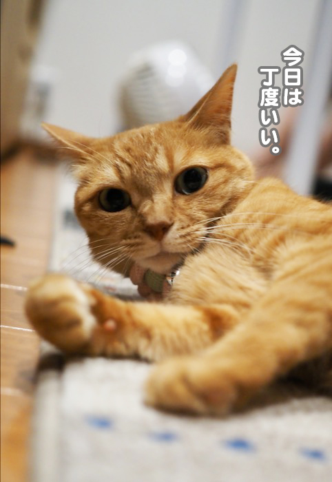 8日夕ブログ６