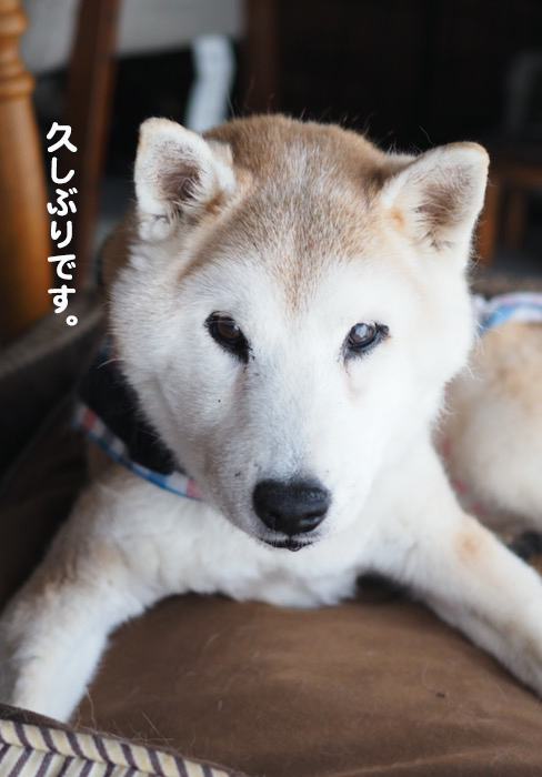 24日ブログ５