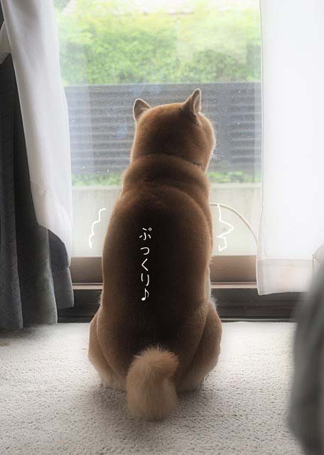 26日ブログ2