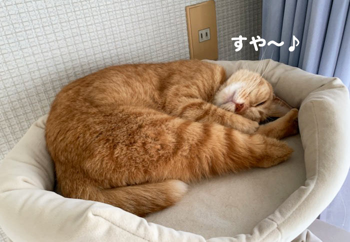 18日夕ブログ８